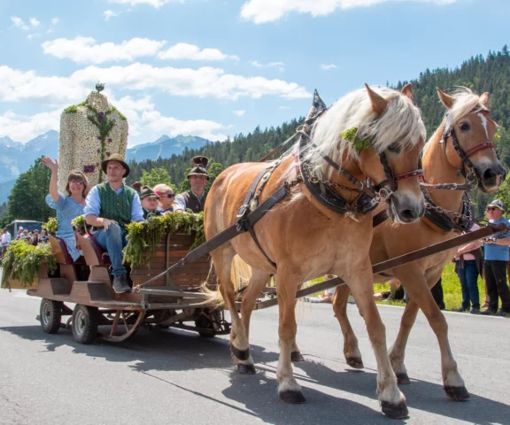 Tavaszi Lófesztivál